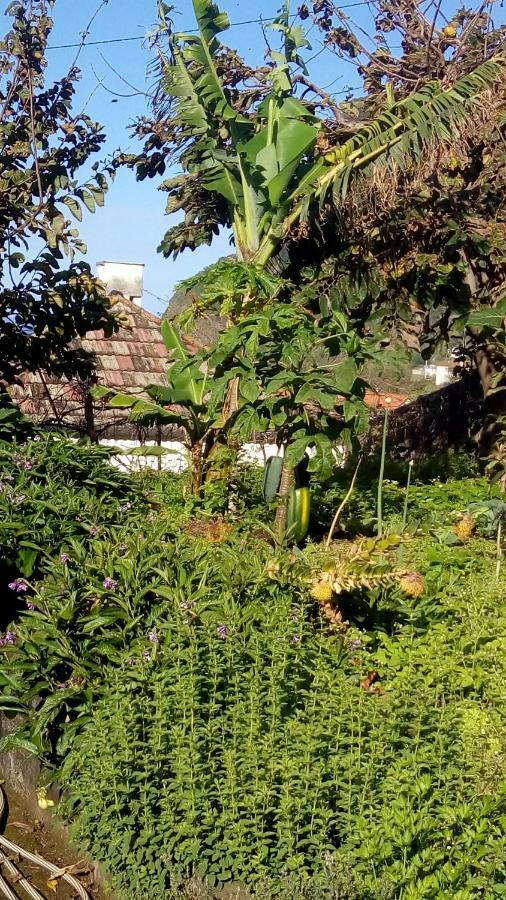 Casa Reizinho Villa Santana  Ngoại thất bức ảnh